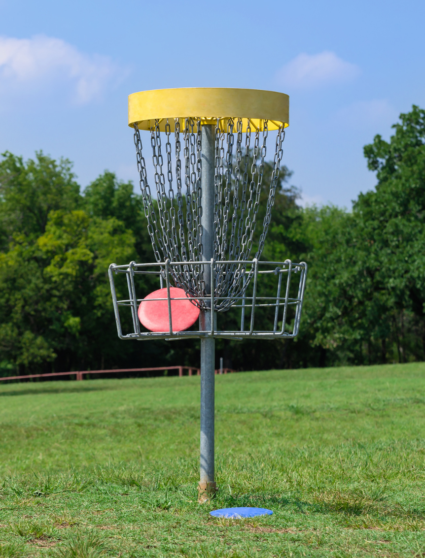 A red disc in a basket on a green field. 