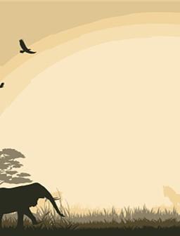 Elephant and birds silhouetted on a sunny background. 