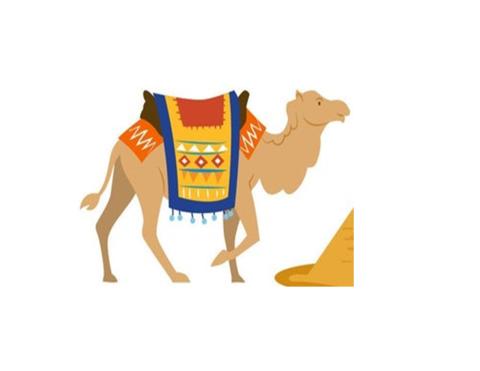 tan camel with red and white cloth, brown saddle and blue, yellow, white and red cloth