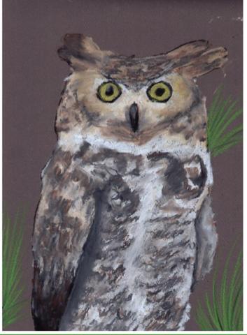 Great Horned Owl drawn with oil pastels in shades of grey, brown and white. 