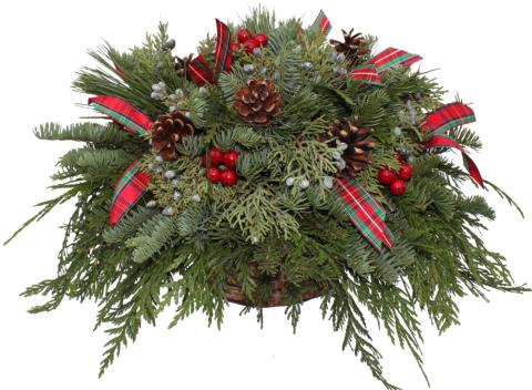 A winter arrangement of evergreens, pinecones and ribbons in a basket. 