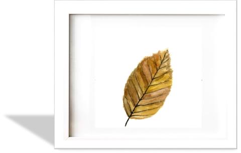 Framed image of a leaf. 