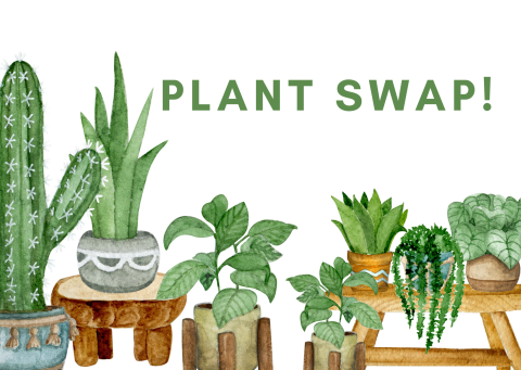 House plants on stools. Sign reads "Plant Swap!"