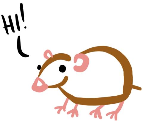 Line drawing of a brown rodent with pink ears, feet and tail. 